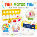 Kiddla Montessori Matching Eggs