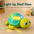 Musical turtle toy with a colorful light-up shell