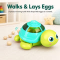 Moving turtle toy dropping little eggs as it crawls